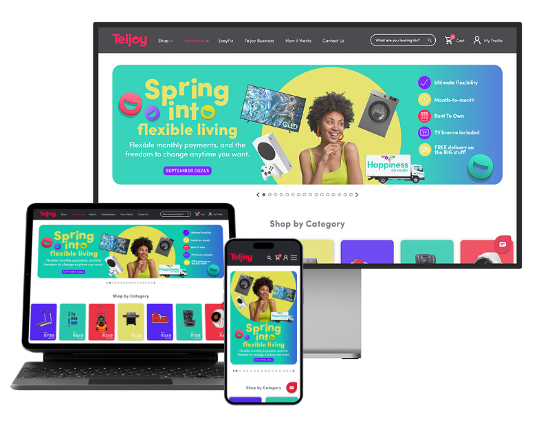 Web Development Mockup